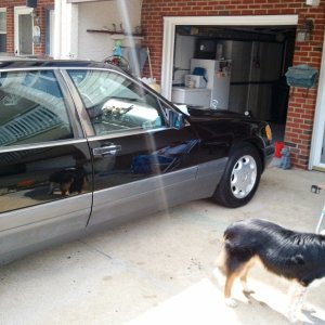 Cousin David's Mercedes 2