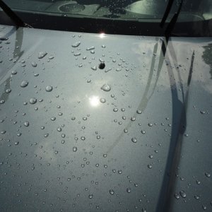 CR_Spotless_008