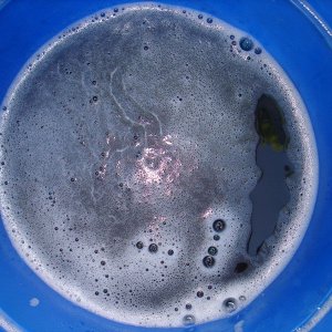 DSC04751