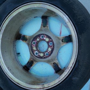 Wheelwell Detail