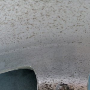 Wheelwell Detail