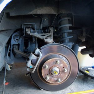 Wheelwell Detail