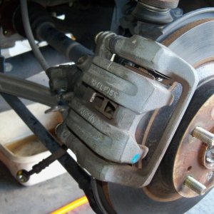 Wheelwell Detail