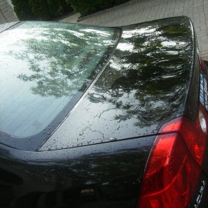 prewash_rinse