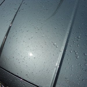 No_drying_towels_006