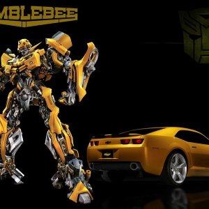 DWP849X Bumblebee