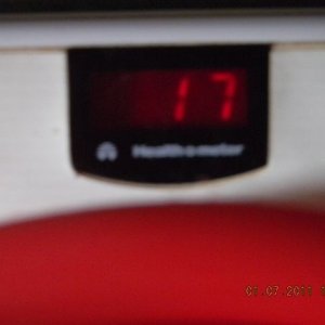 New_Image17