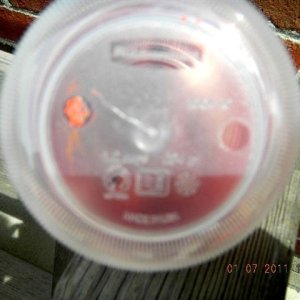 New_Image221