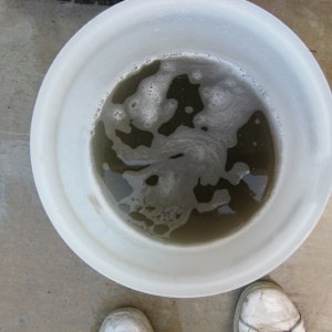 Rince_Bucket