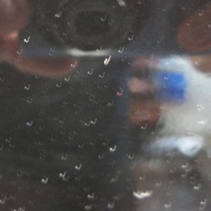 IMG_28083