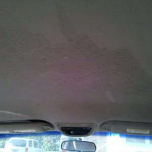 IMG_20110506_185950