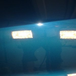 Driver_Passenger_Door_Swirls_Finished