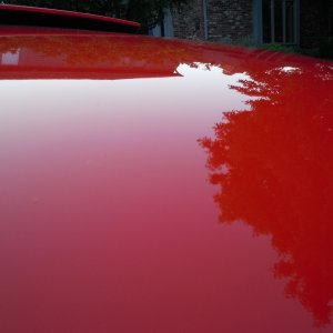e36