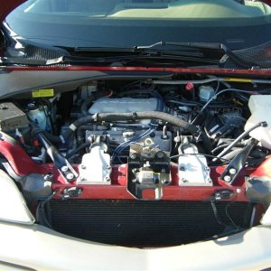 DSCF2493_Medium_