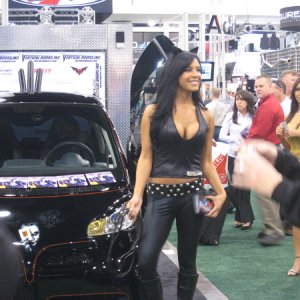 Media 'Vertical Doors Booth' in category 'Pictures of the Sema Show 2008'