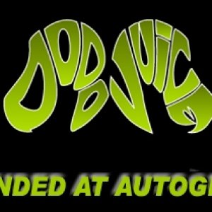 DODO_BANNER