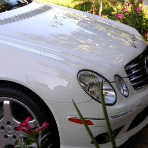 Detail 2005 MB E500