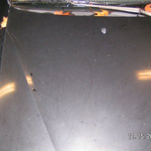 98 nissan sentra