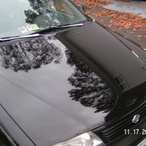 98 nissan sentra