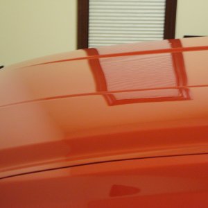 DSC00501