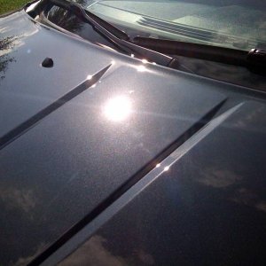 2008 Dodge Avenger - Metallic Black
