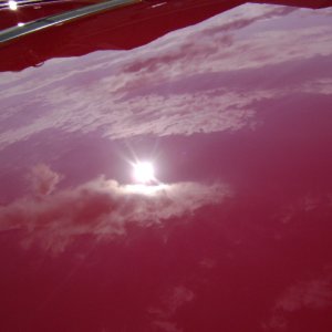 DSC00252