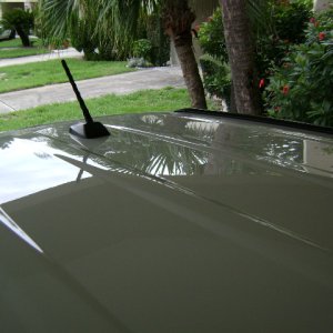 DSC00199