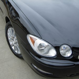 Lacrosse Quarter Panel