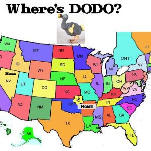 imgdodo4