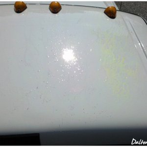 IMG_20110723_100113_copy