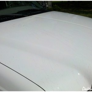 IMG_20110723_101805_copy