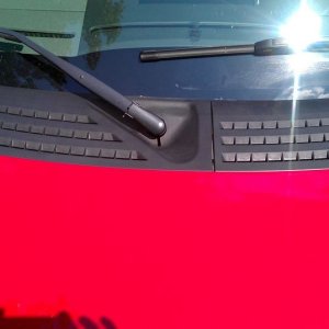 tn_IMAG0598