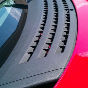 tn_IMAG0599