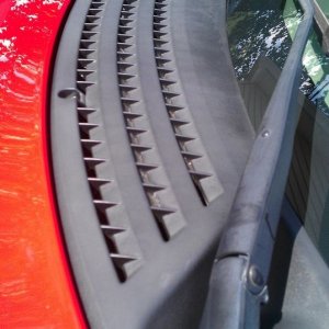 tn_IMAG0600