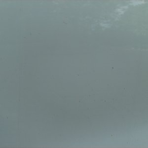 rust_spots