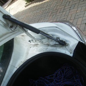 trunk_before2