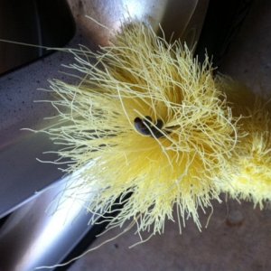 Exposed wire