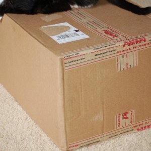 First Order Package