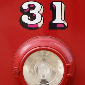 31