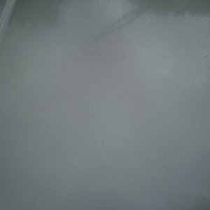 P1010155
