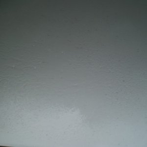P1010156