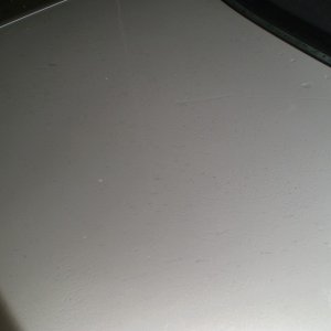 P1010160