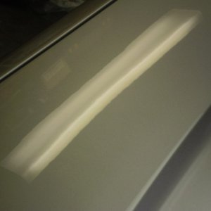 P1010164