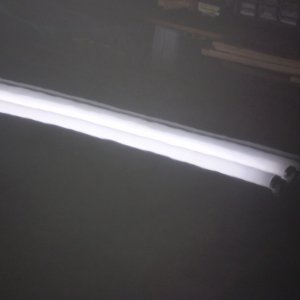 P1010173