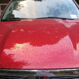 Water beading