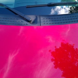 tn_IMAG0685