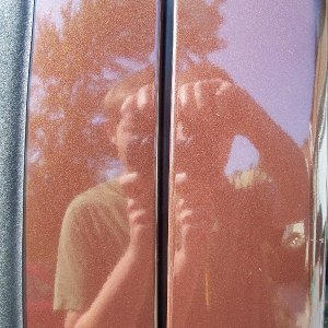 205_2931