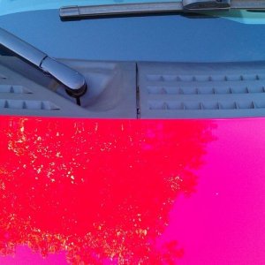 tn_IMAG0770