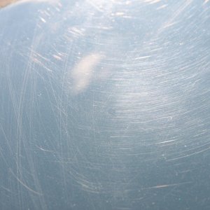 trunk1