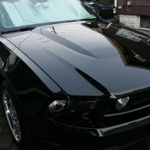 Blackfire Deep Gloss Spray 4